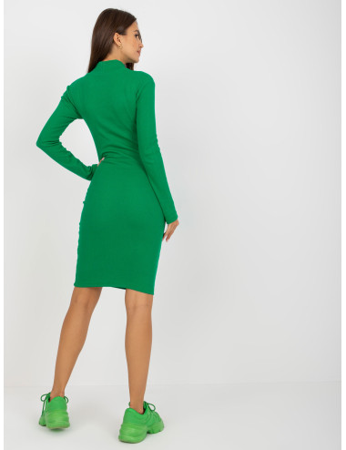Green Basic Casual Striped Half Turtleneck Dress 