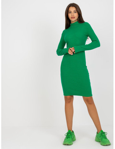 Green Basic Casual Striped Half Turtleneck Dress 
