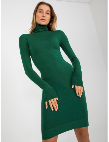Dark Green Knit Fitted Turtleneck Dress 