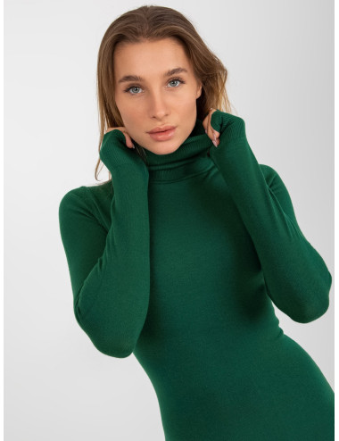 Dark Green Knit Fitted Turtleneck Dress 